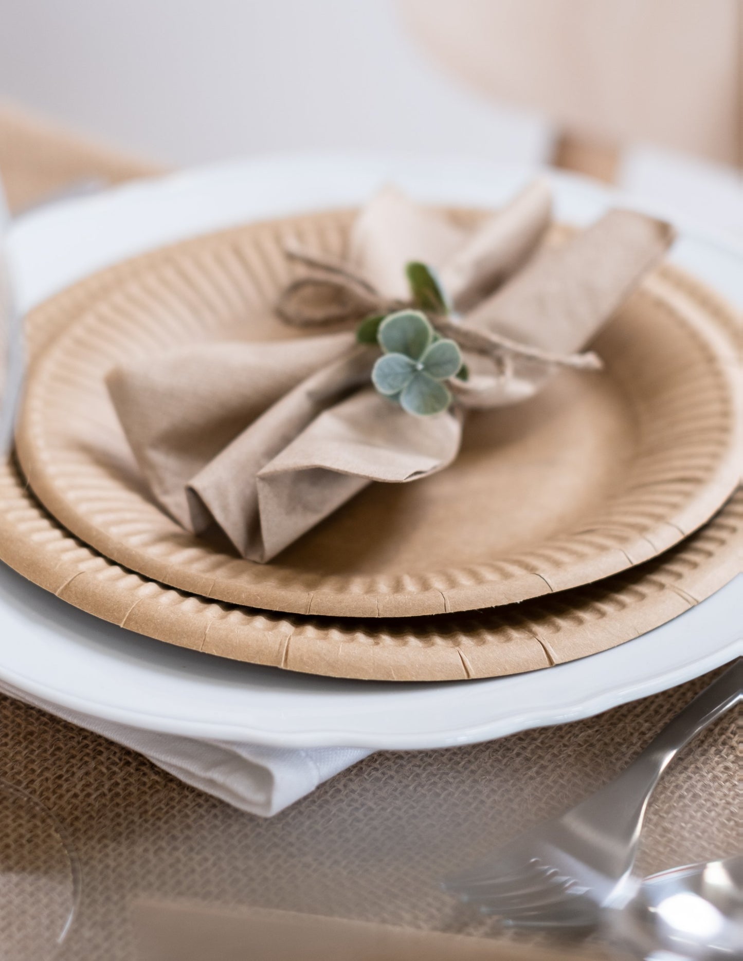 10 малки картонени плочи Kraft 18 cm