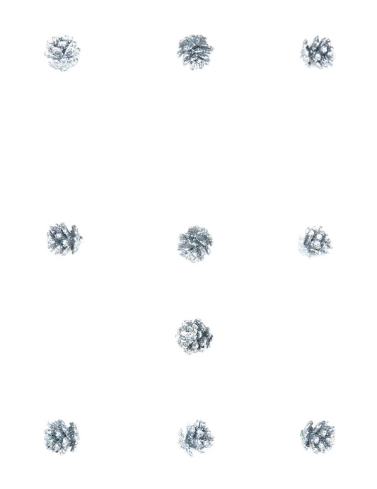 Vue d'ensemble des 10 mini pommes de pin pailletées de Noël argentées