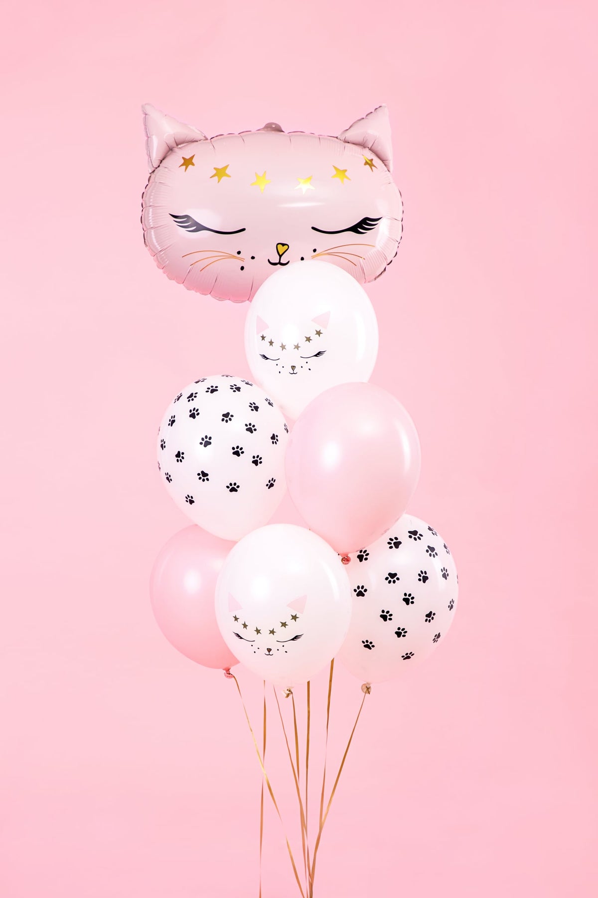 Vue d'ensemble du bouquet des ballons en latex chats pour décoration