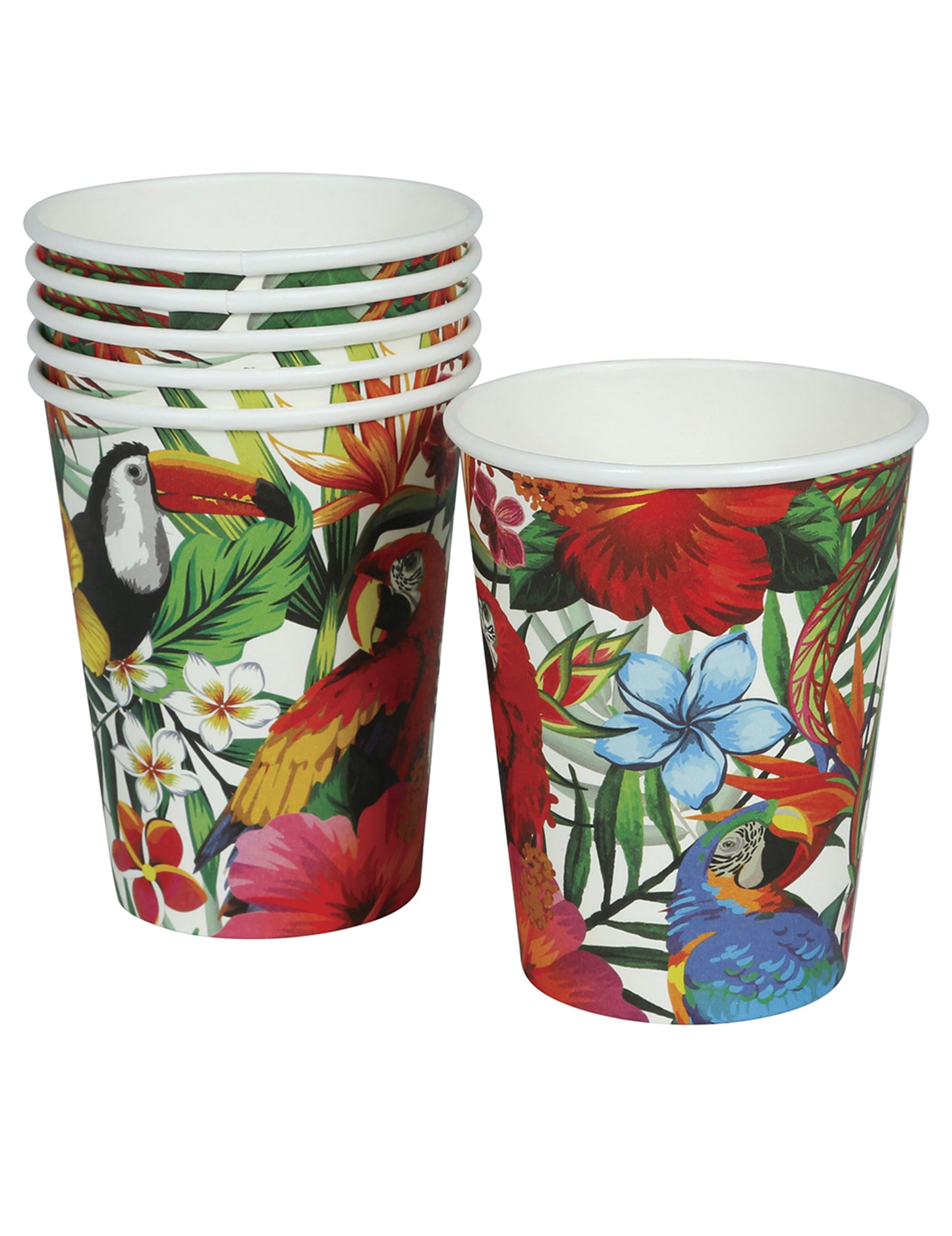 6 Gobelets oiseaux tropicaux 240 ml