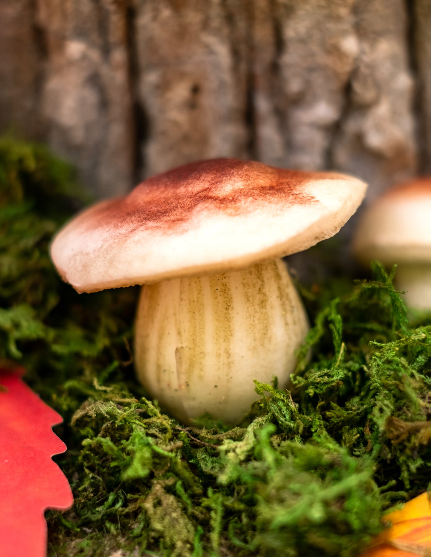 7 пяна гъби 3 см - 6,5 см