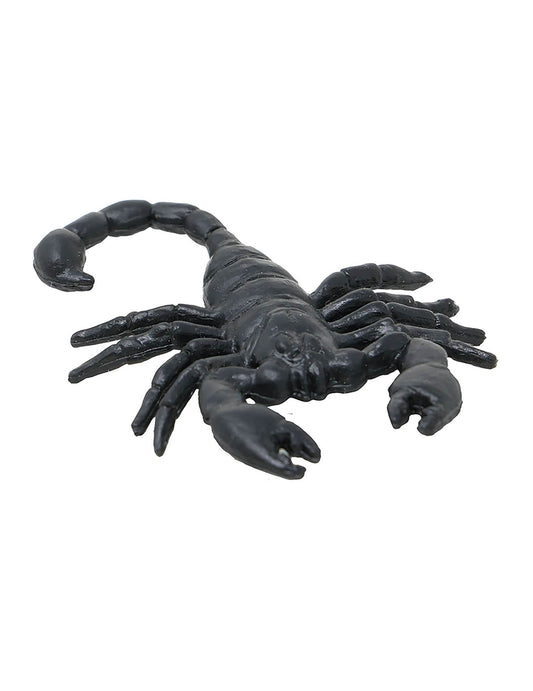 Gros plan d'un scorpion du lot de 8 scorpions pour Halloween