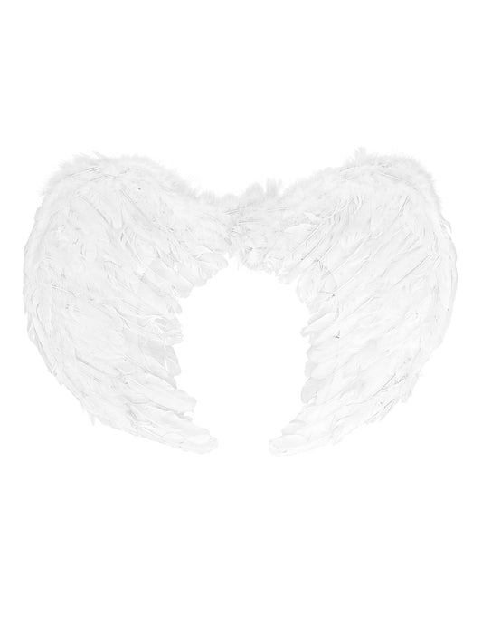 Vue de face des ailes d'anges