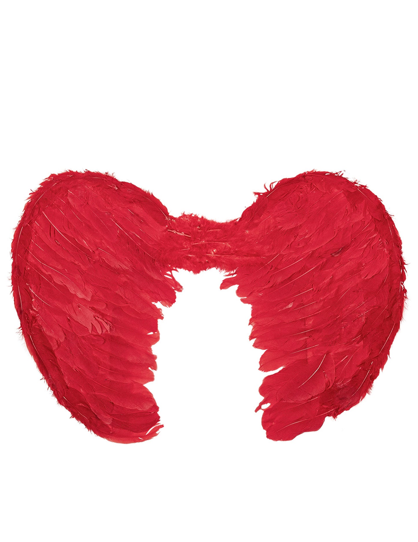 Red Angel Wings 60 x 40 cm