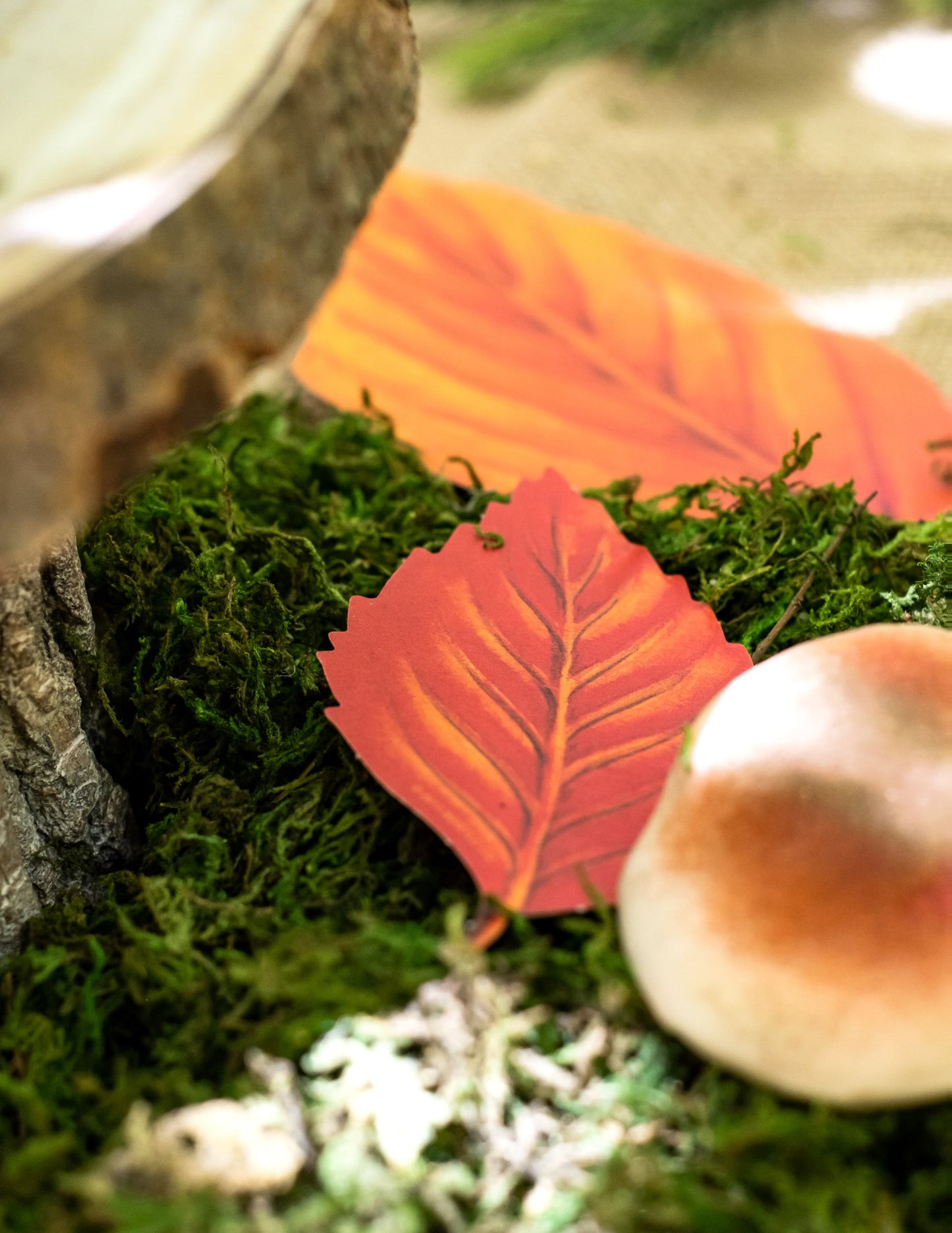 Комплект от 11 картонени есенни листа