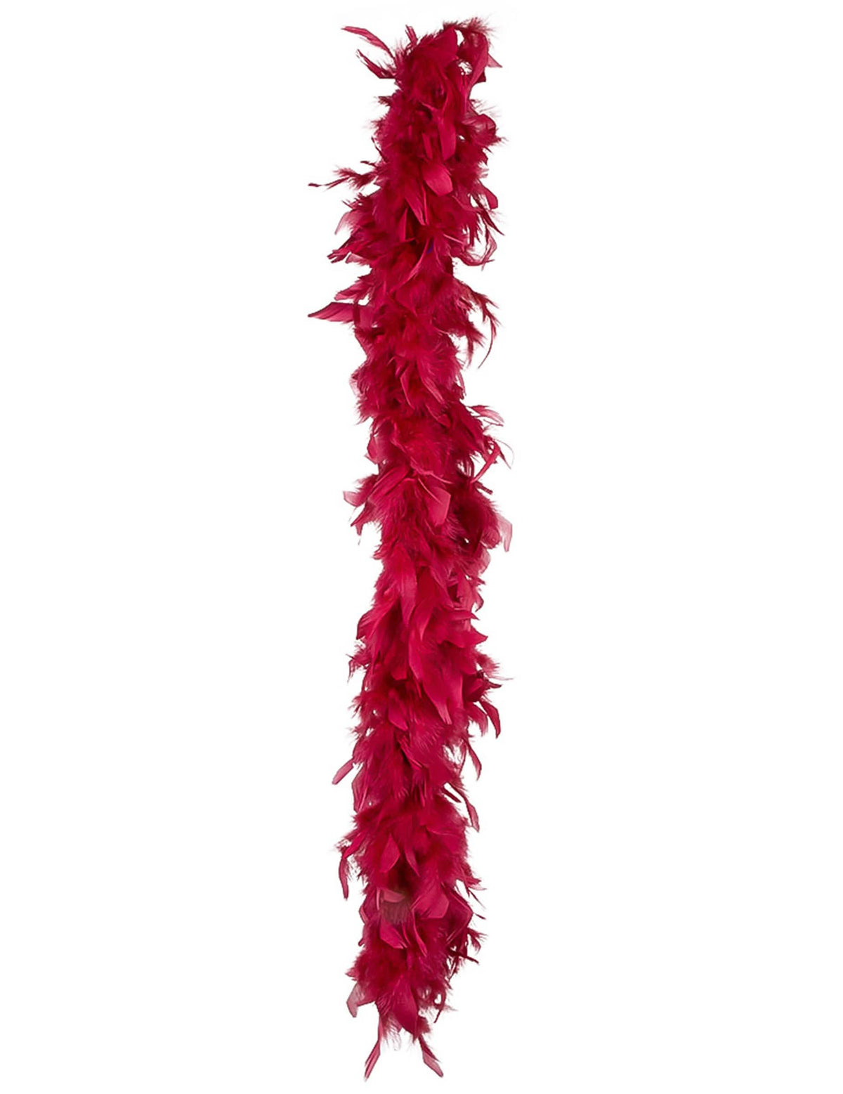 Détail des plumes du boa rouge bordeaux