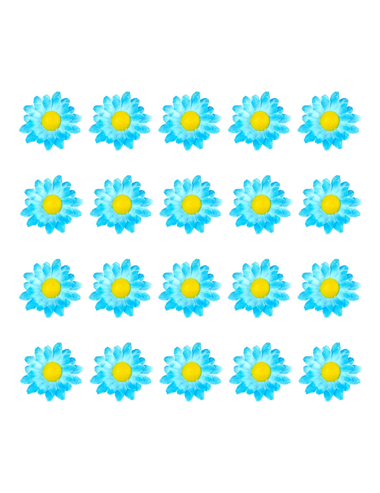 Vue d'ensemble des 20 unités des fleurs marguerites pour décoration