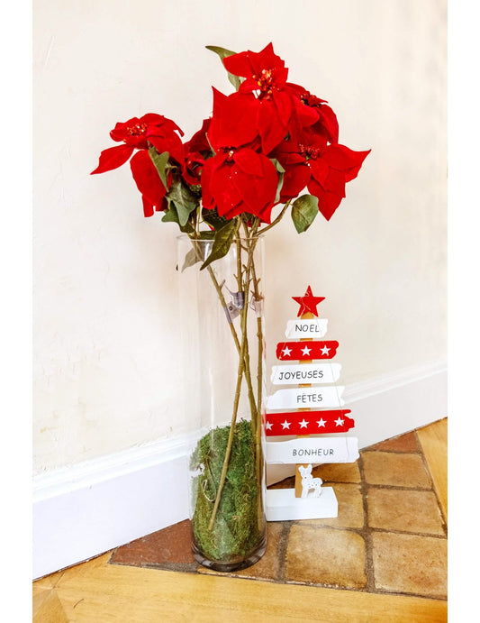 Mise en situation dans un vase de la branche de poinsettia étoile de Noël