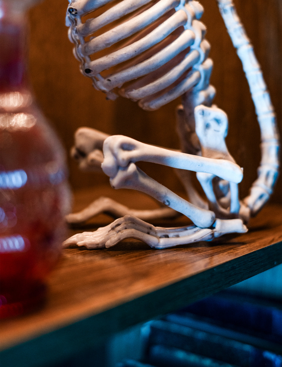 Крупен план на гръдния кош и лапите на декорация Halloween с плъх-скелет