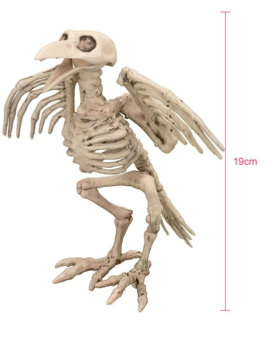 Vue de profil avec dimensions de la décoration squelette de corbeau