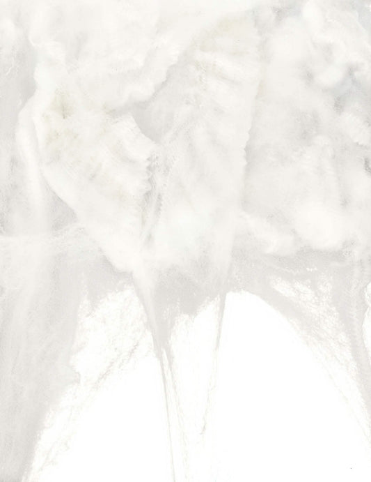 Gros plan sur la texture de la toile d'araignée pour Halloween
