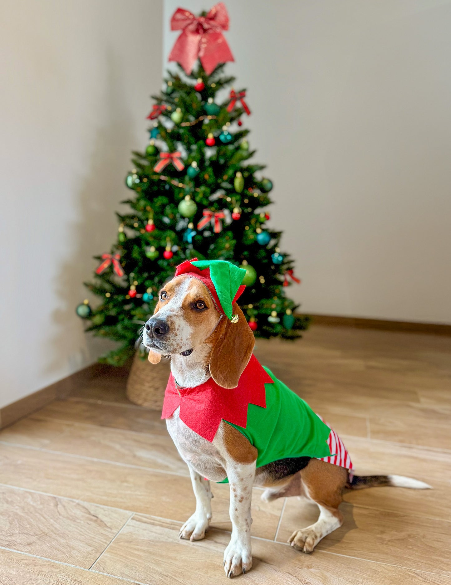 Коледен костюм на елф за кучета