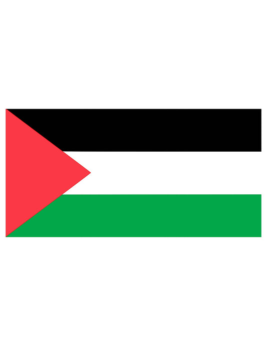 Vue à plat du drapeau Palestine pour supporter