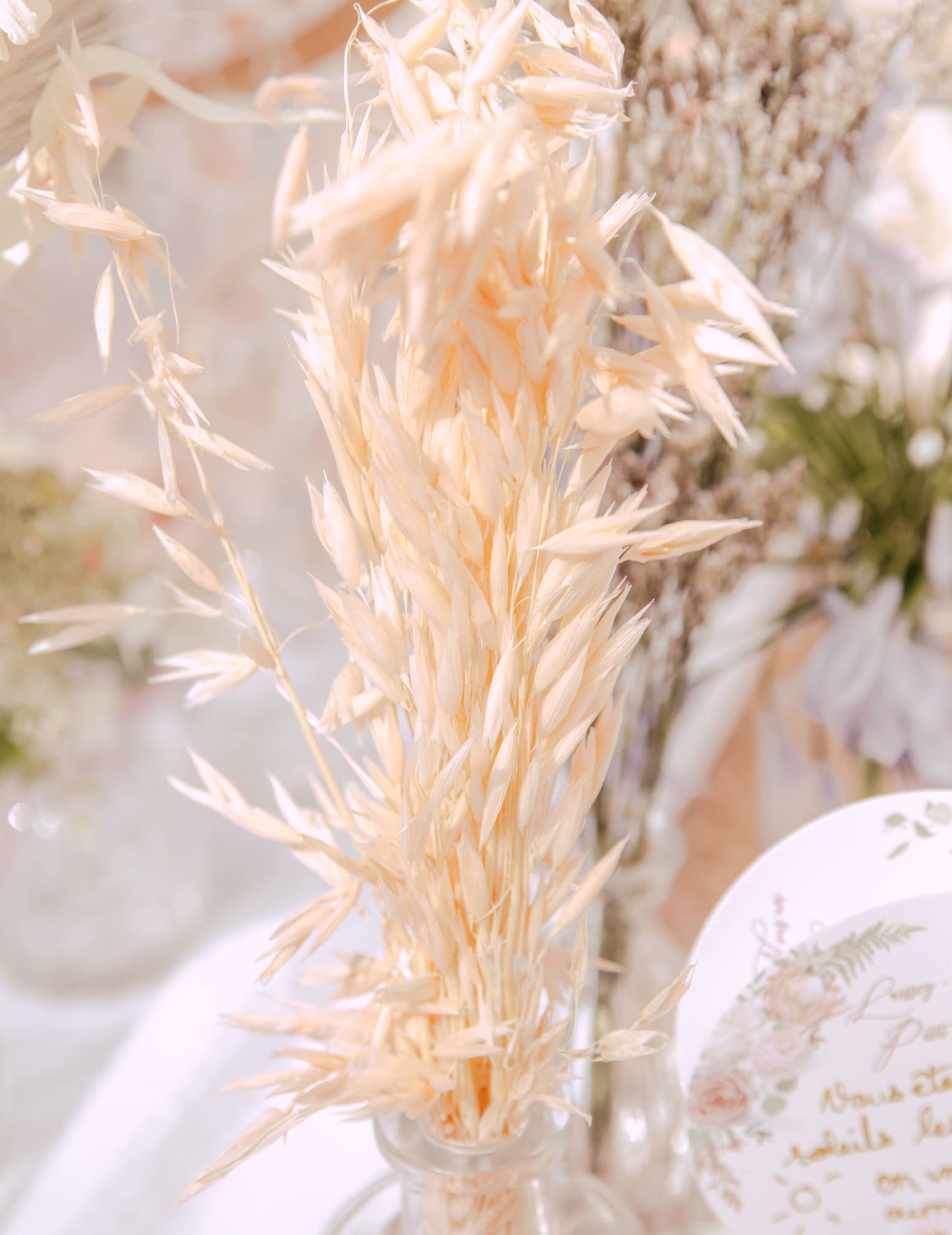 Détail dans un vase de l'épi d'avoine séché ambiance champêtre