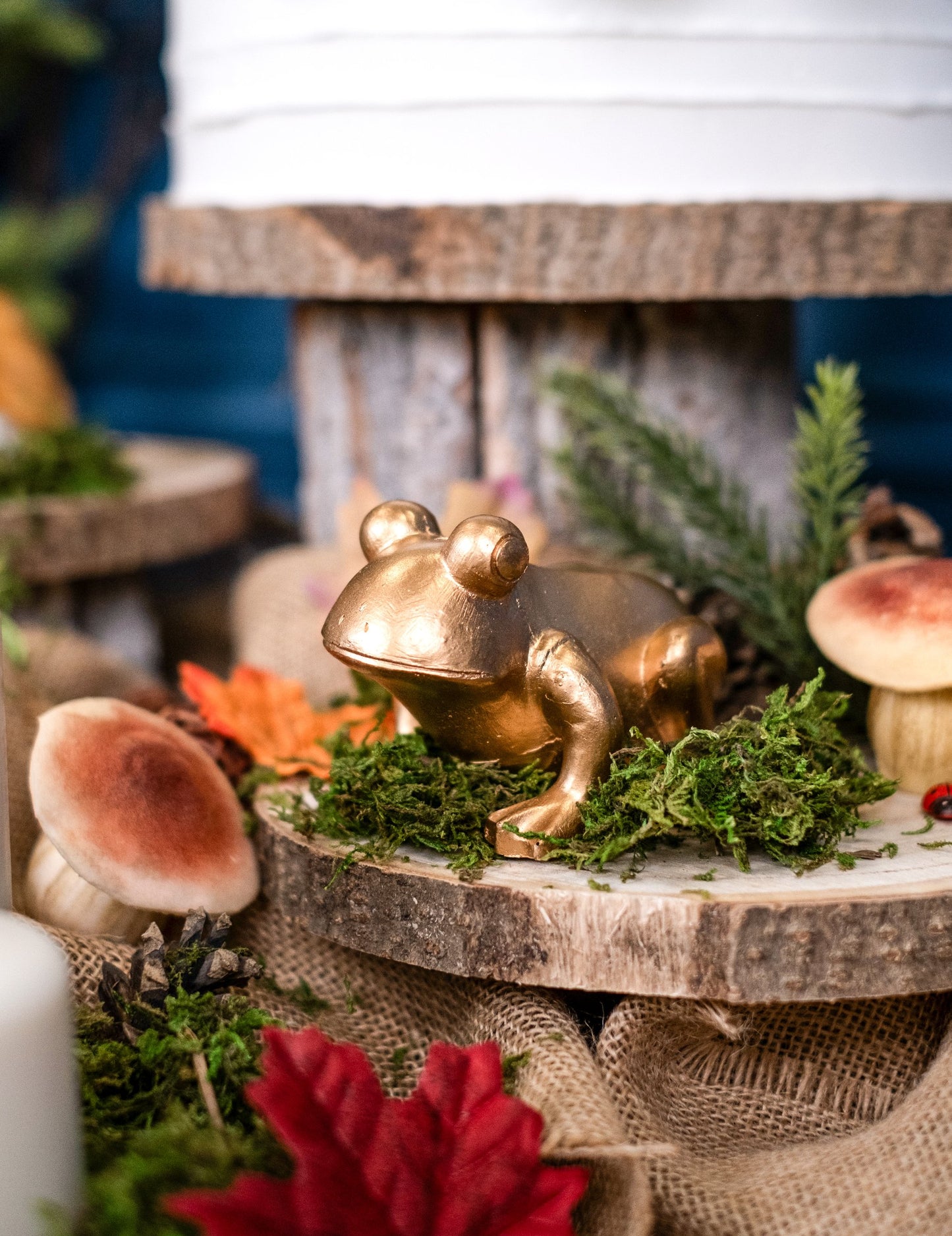 Златна смола жаба 10 cm