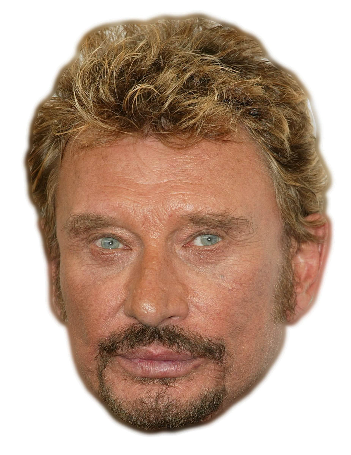 Реалистична картонена маска Johnny Halliday за възрастен