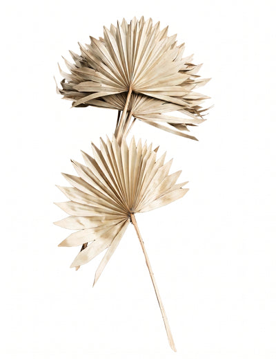10 Feuilles de palmier 55 cm
