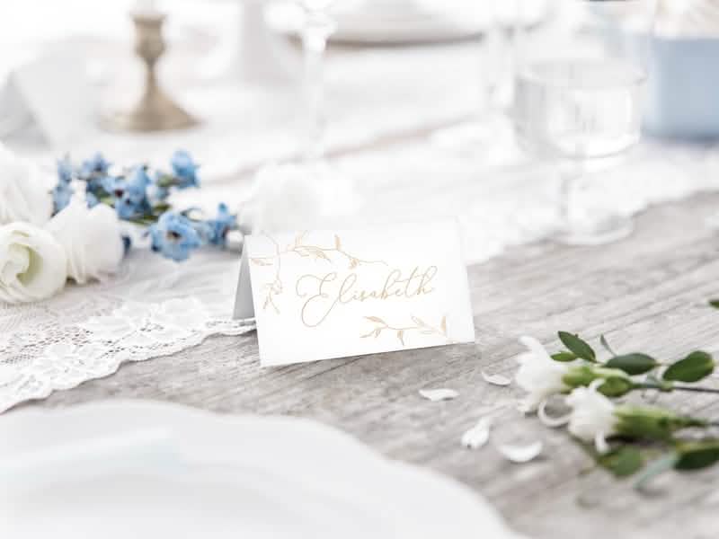 Поставка на масата на картонените табелки за място със златисти клонки