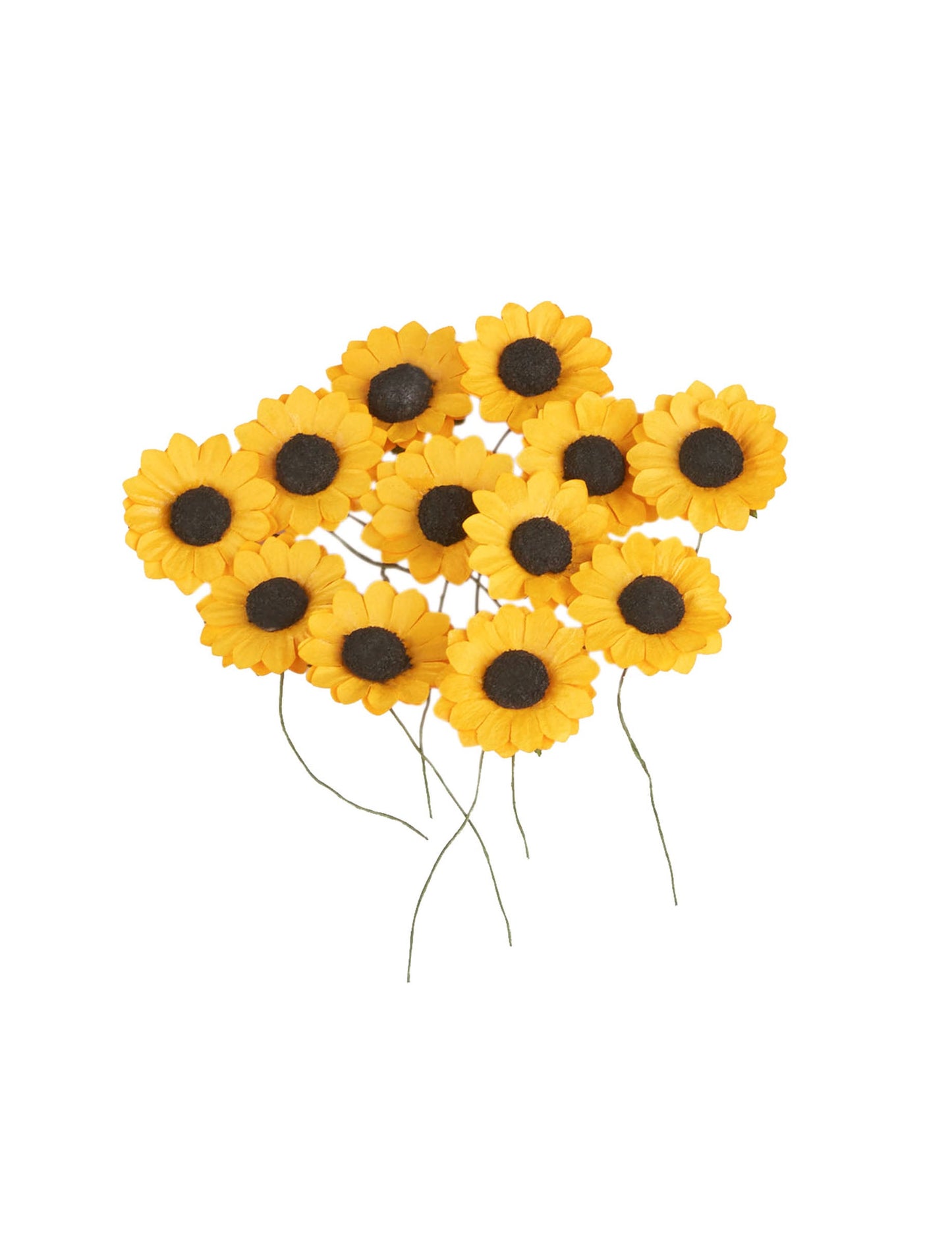 Vue d'ensemble des 12 fleurs des champs type tournesols