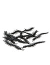 Lot de 12 mille-pattes Halloween pour décoration noirs