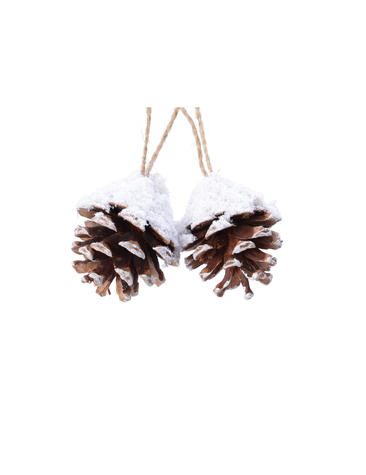 Suspensions pommes de pin pour décoration naturelles marron et blanc enneigées