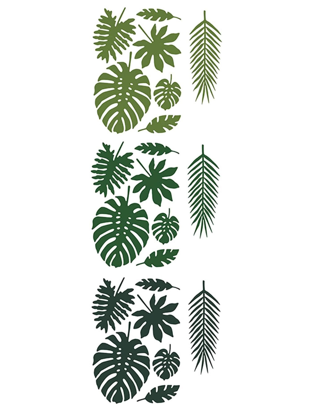 Détail des différentes formes des feuilles tropicales Hawaï pour décoration