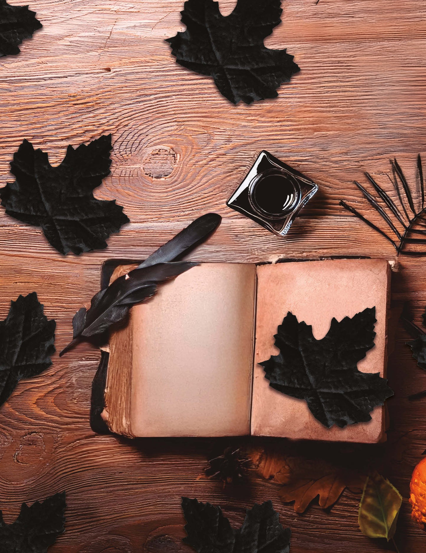 24 Черни листа 10 cm