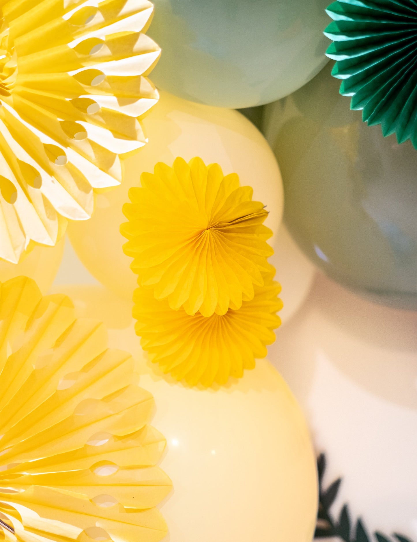 5 мини многоцветни розетки 15 cm