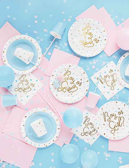 Ambiance festive des assiettes en carton Boy or Girl pour baby shower