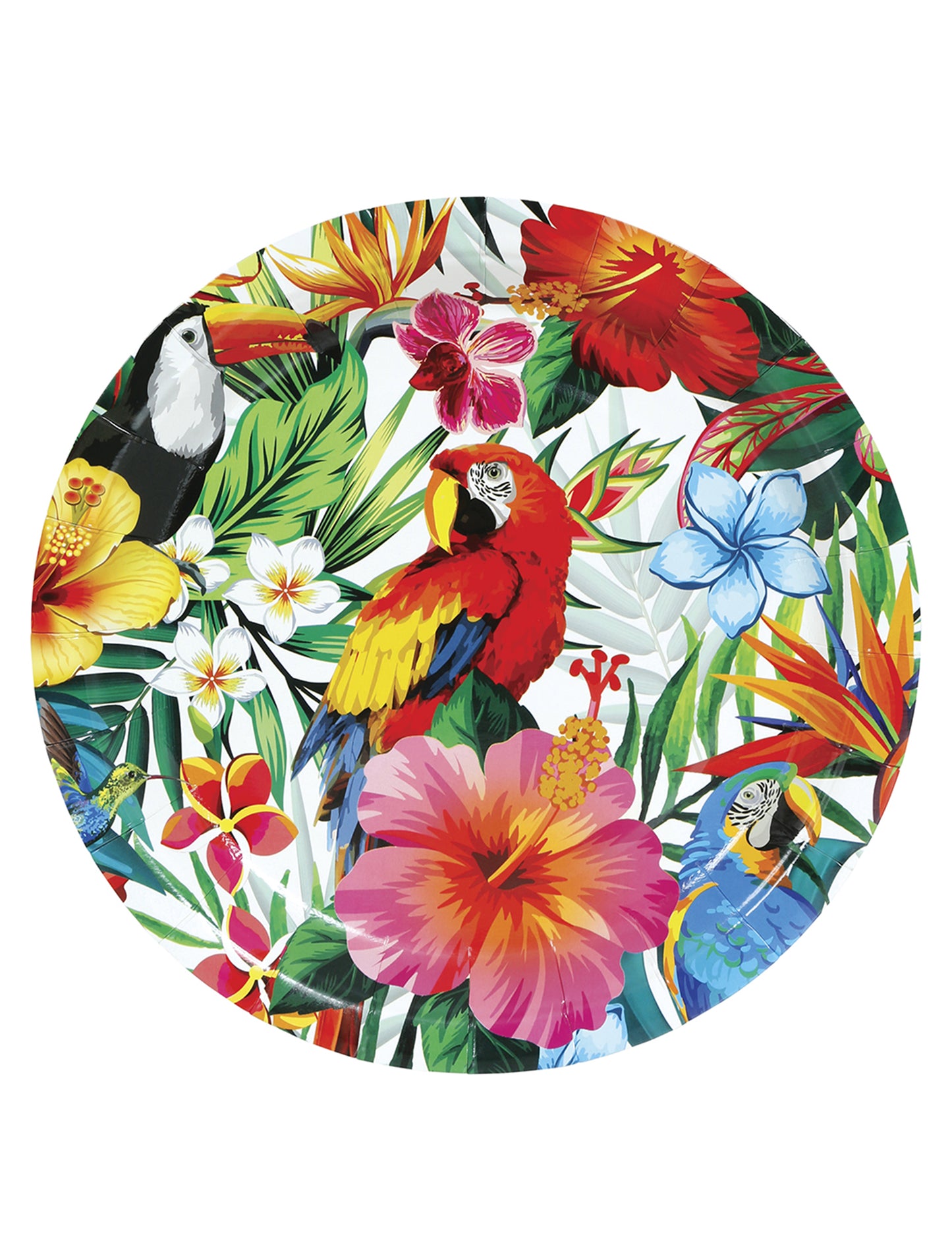 Vue de dessus des assiettes oiseaux tropicaux