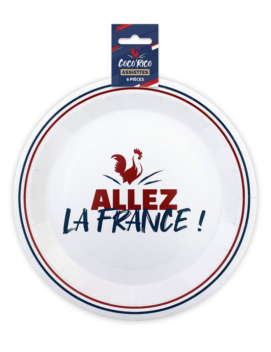 Vue de l'emballage du lot d'assiettes en carton Allez la France