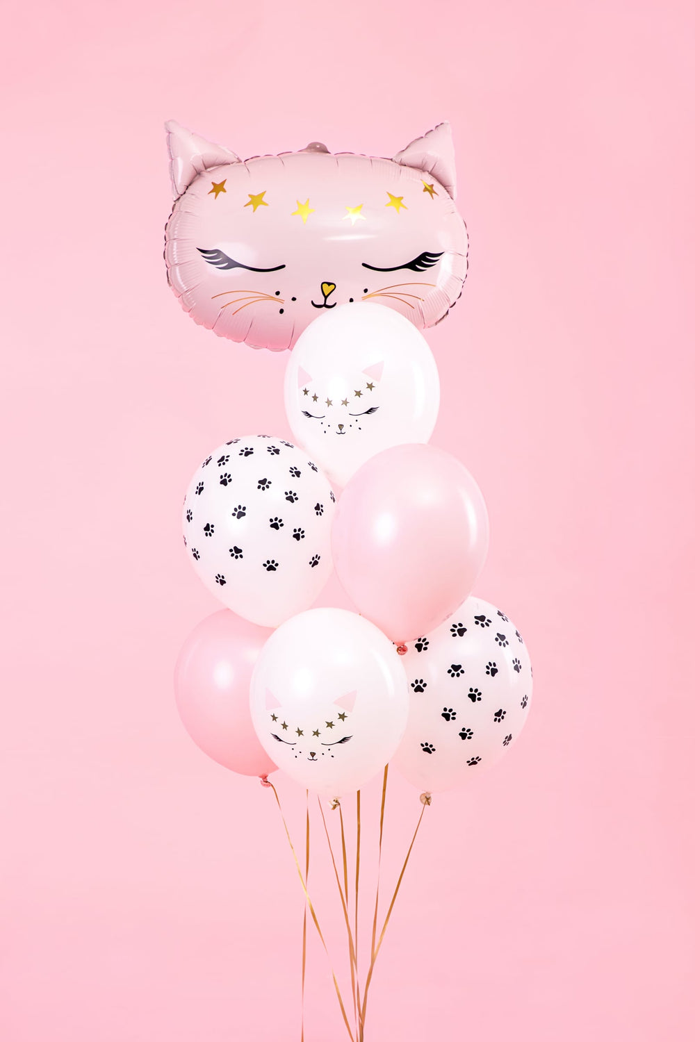 Vue d'ensemble du bouquet des ballons en latex chats pour décoration