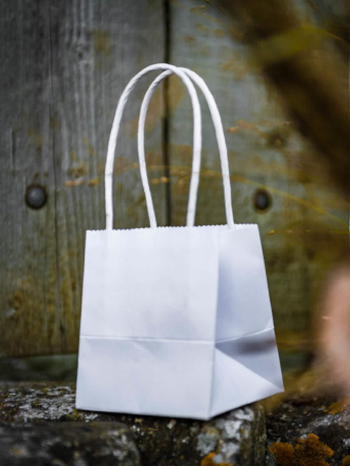 Petits sacs en carton blancs avec anses torsadées