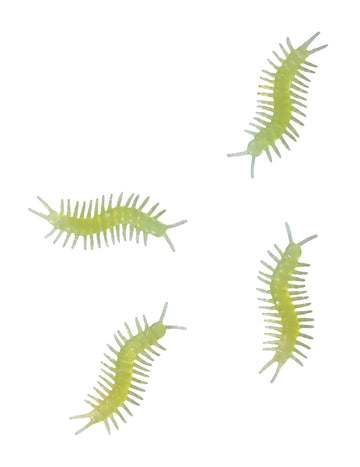 8 Фосфоресциращи многоножки 6 cm