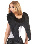 Noire Ailes