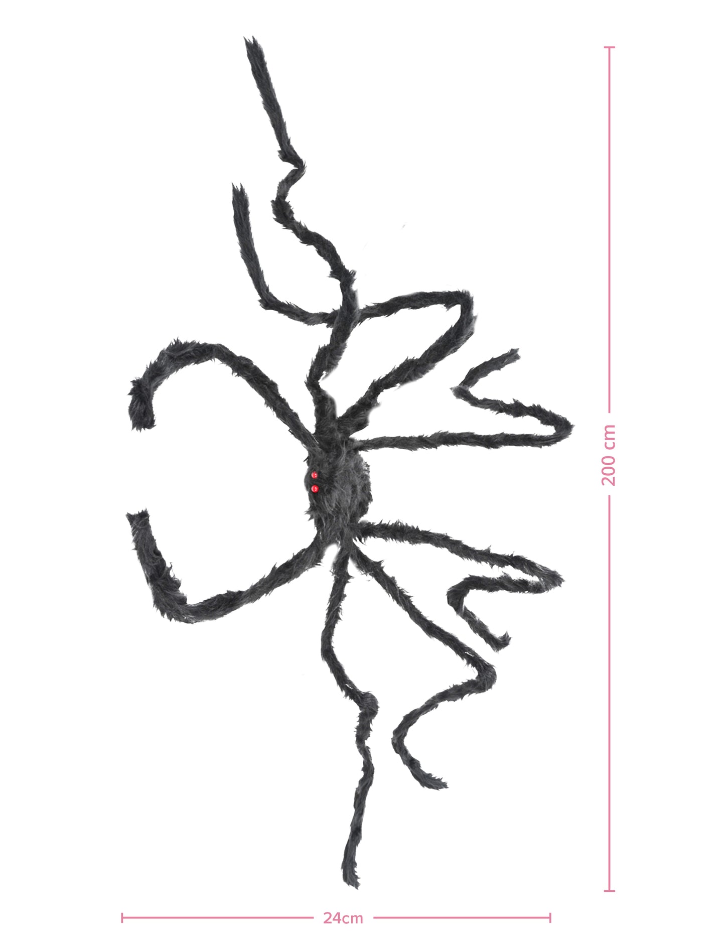 Dimensions de l'araignée géante pour Halloween