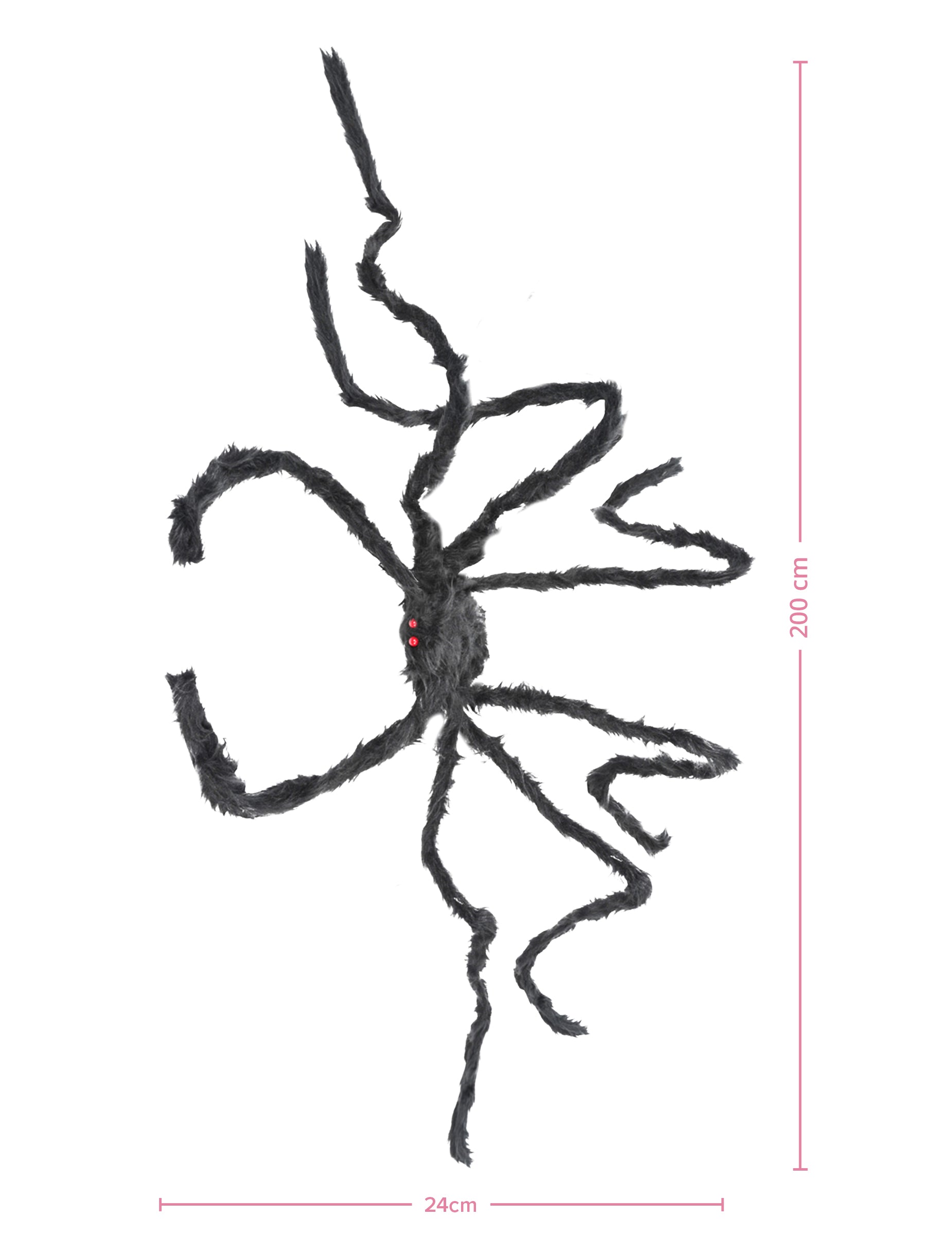 Dimensions de l'araignée géante pour Halloween
