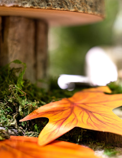 Комплект от 11 картонени есенни листа 