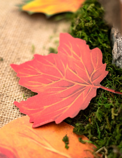 Комплект от 11 картонени есенни листа 