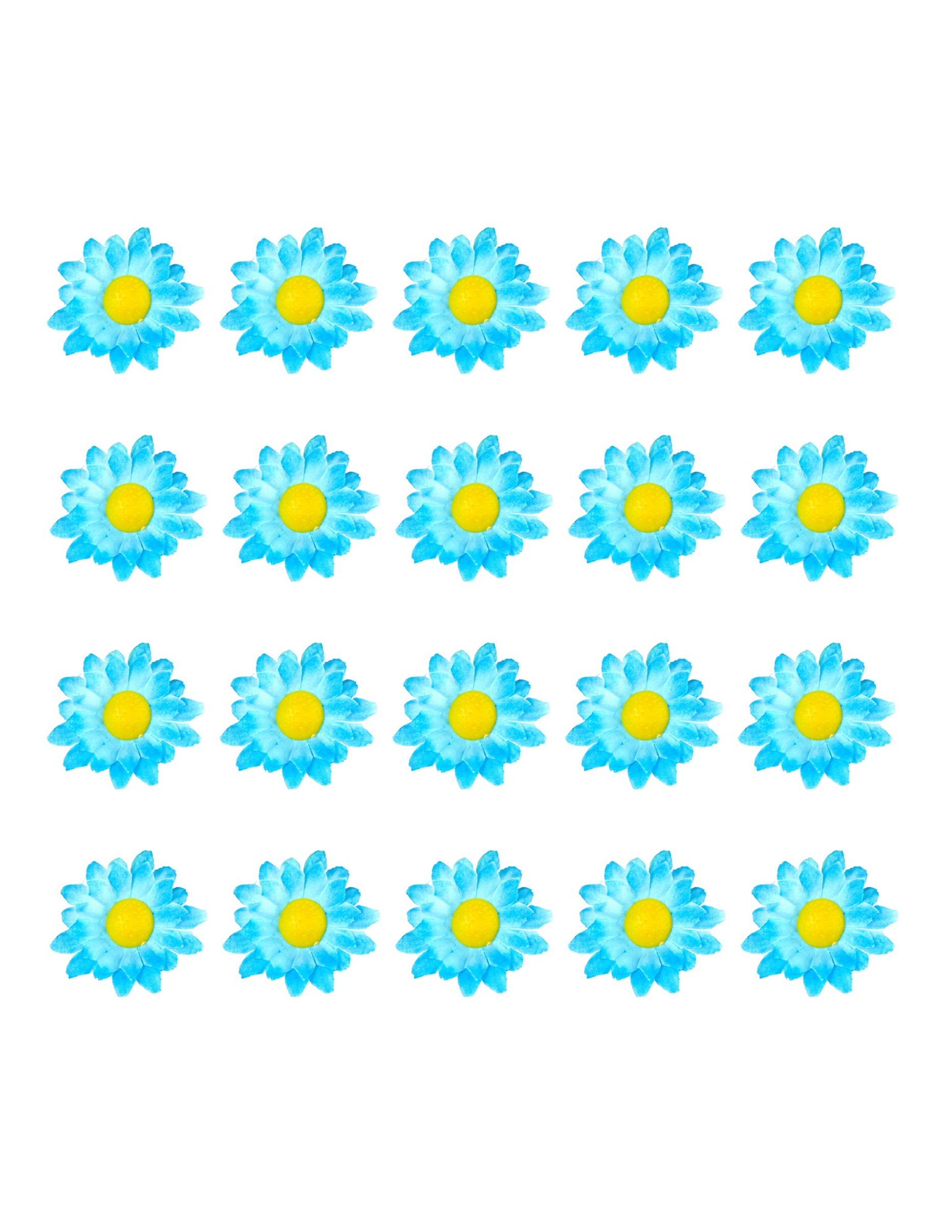 Vue d'ensemble des 20 unités des fleurs marguerites pour décoration