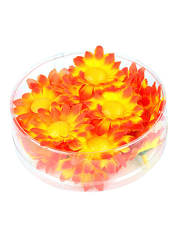 Кутия от 20 цветя от оранжево-жълти маргаритки