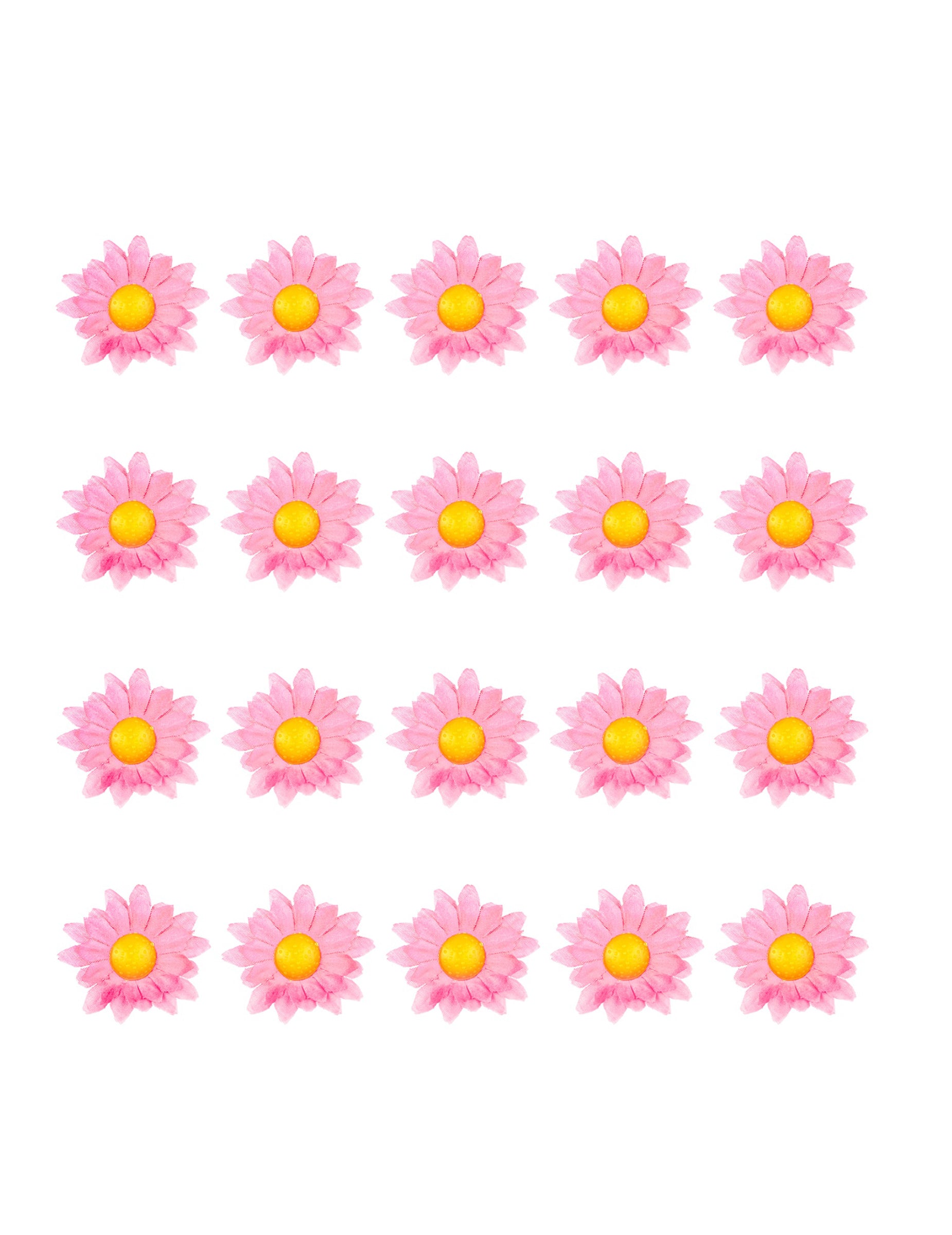 Vue d'ensemble des pièces de la boîte de 20 fleurs marguerite rose clair