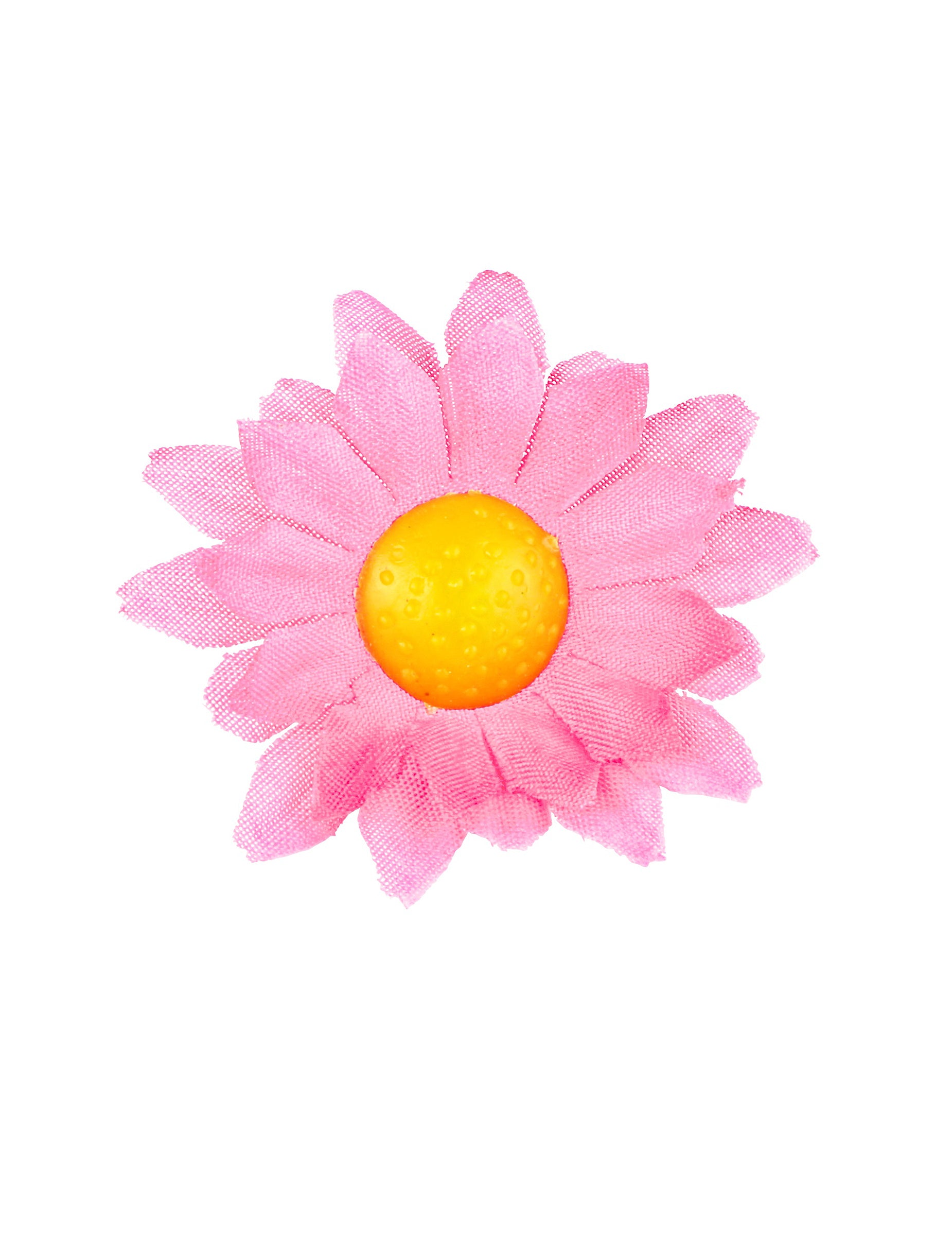 Gros plan sur une fleur de la boîte de 20 fleurs marguerite rose clair