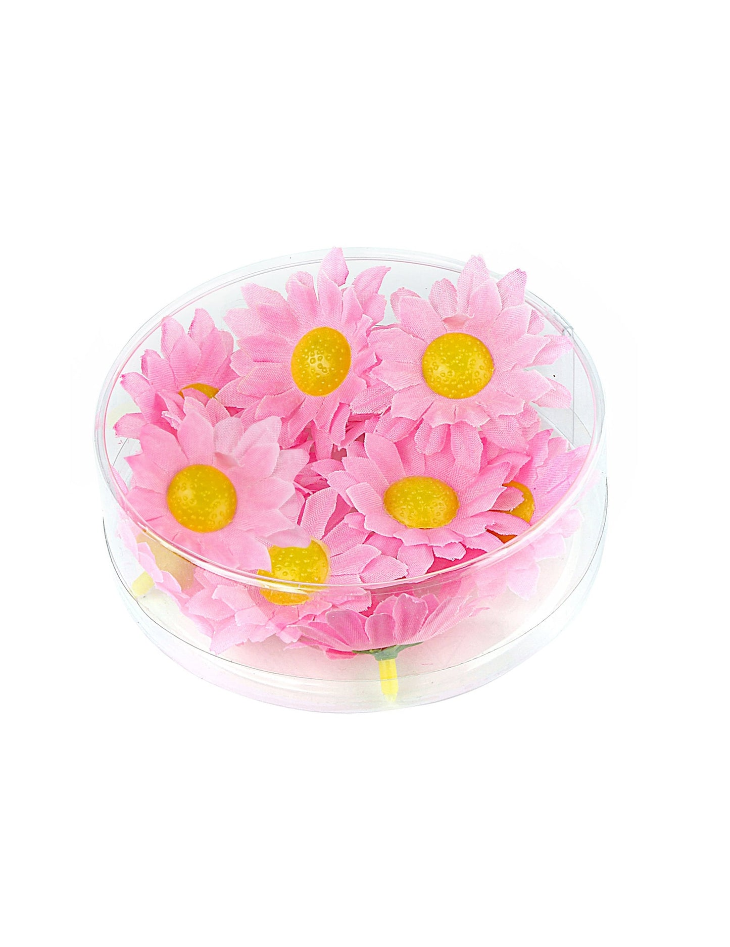 Boîte de 20 fleurs marguerite rose clair à cœur jaune