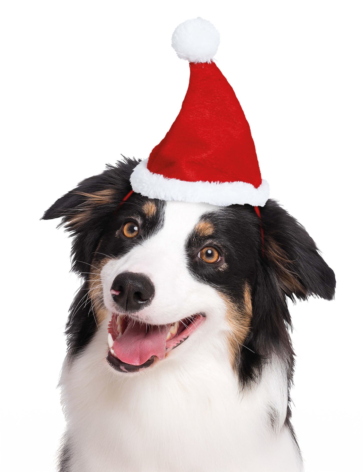 Коледна шапка за домашни любимци