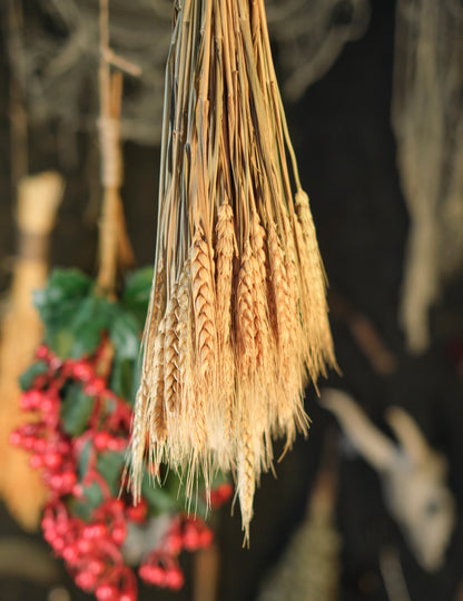 Букет от естествени пшенични уши 60 cm