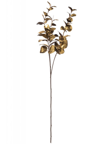 Branche d'eucalyptus pour décoration dorée