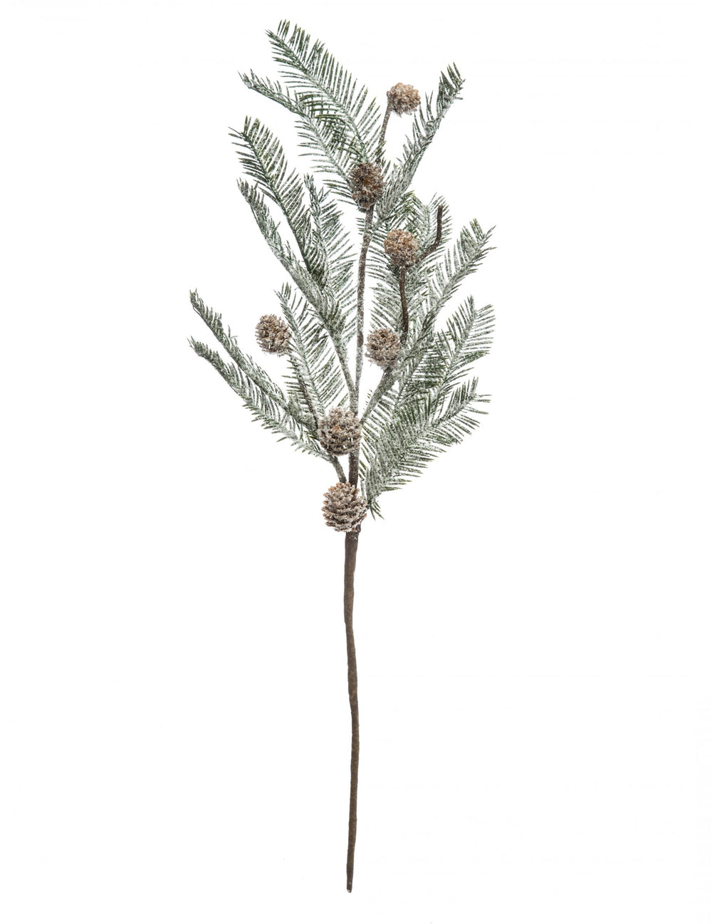 Branche de sapin enneigée avec pommes de pin pour décoration verte et marron