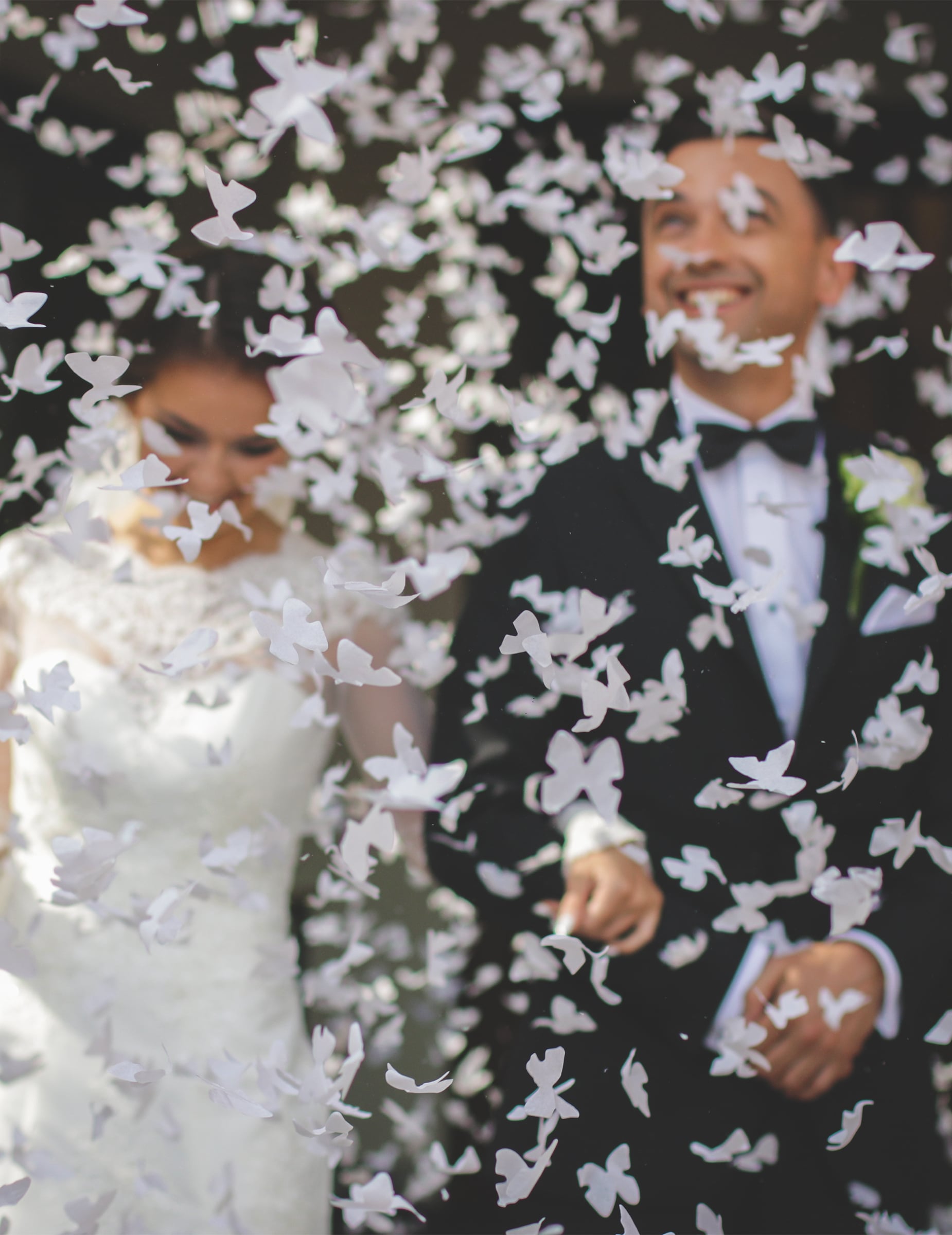 Mise en situation lors d'un mariage du canon à confettis papillons blancs