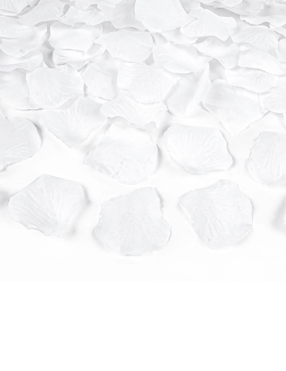Détail des pétales du canon à confettis pétales blanc